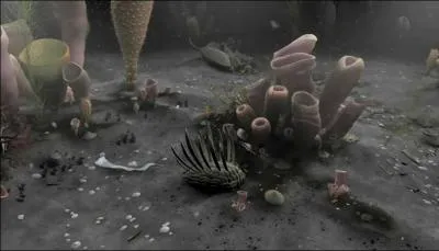 Qui sont les descendants des Wiwaxia ? (Cliquez sur l'image pour mieux voir)