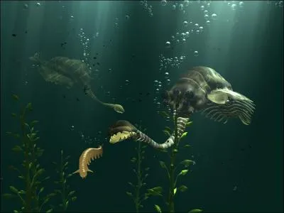 L'Opabinia est un animal qui ne ressemble  aucun animal connu et n'appartient  aucun embranchement du rgne animal. Combien a-t-il d'yeux ?