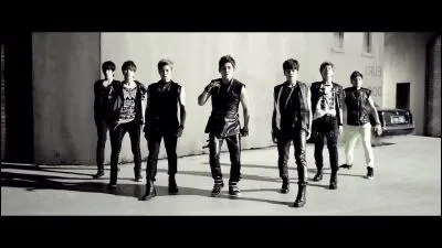 De quel clip provient la photo ?