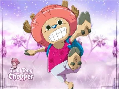 Quelle proprit a le fruit du dmon deTony Chopper ?