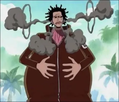 Quelle proprit a le fruit du dmon de Mr 5 ?