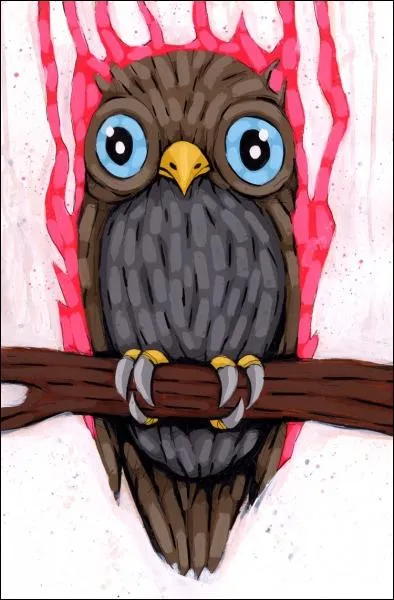 Il chasse les rongeurs la nuit !