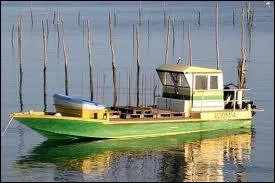 Chat +  Qui avance doucement  :