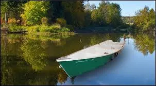 Chat +  Permet de voir plus gros  :