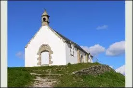 Chat +  Outil pour creuser  :