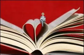 Quel est ce livre de Xavier Maumjean ?