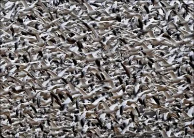 Elle passe pour tre plutt ingnue !