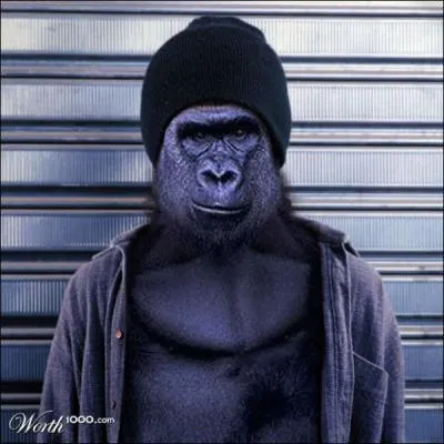 C'est un gorille des services spciaux, un peu spcial !