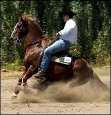 Comment s'appelle cette figure western ?