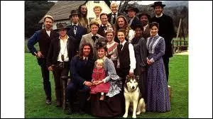 En quelle anne la srie s'est-elle arrte ?