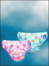 Qu'appelle-t-on les  Culottes d'Aristote  ?