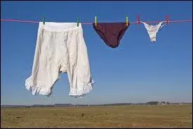 Citation :  A mesure que diminue la libert conomique et politique, la libert sexuelle a tendance  s'accrotre en compensation.   De qui est cette phrase ?