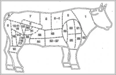 Le morceau du boeuf dnomm Culotte correspond  quel numro de cette planche,  votre avis (cliquez sur l'image pour l'agrandir) ?