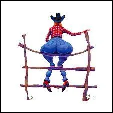 Pourquoi la masse graisseuse plus ou moins dveloppe de part et d'autre des hanches fminines s'appelle  La culotte de cheval  ?