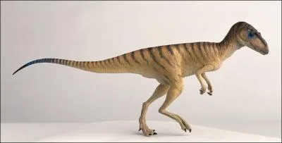 Laquelle de ces proies le Herrerasaurus, long de 3 m, ne pouvait-il pas chasser  la fin du Trias ?