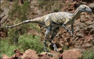 De quel animal actuel l'Eoraptor avait-il la taille ?