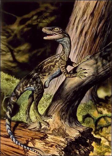 Seul un spcimen de Staurikosaurus fut trouv au Brsil, long de 2 m et d'un poids approximatif de 30 kg. Il fut longtemps le plus vieux dinosaure connu. En quelle anne a-t-il t dcouvert ?