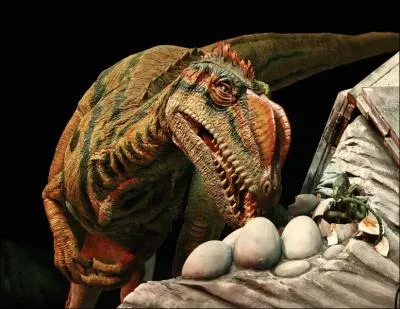 O a-t-on trouv les fossiles du Liliensternus, un thropode de plus de 5 m ?