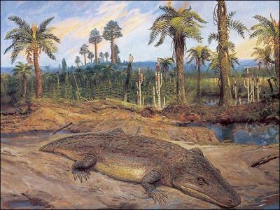 Le Mastodonsaurus est un amphibien de plus de 6 mtres,  quel ordre appartient-il ?