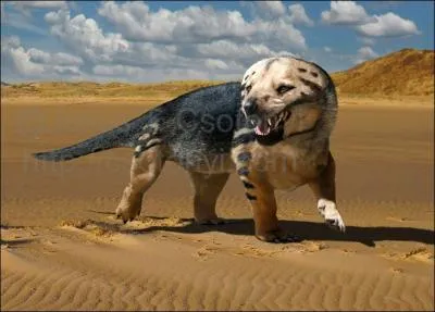 Le Cynognathus est un reptile mammalien de 2 m de long. Que signifie son nom ?