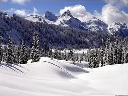 Quelle est la bonne orthographe ?