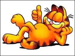 Est-ce Garfield ?