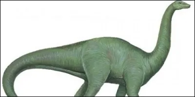 Le nom du riojasaurus provient d'une province, nommée La Rioja, où les premiers os fossilisés ont été découverts. Mais où se trouve cette province ?