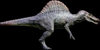 A quelle période a vécu le spinosaurus ?