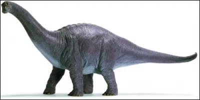 Quel est l'autre nom du brontosaurus ?