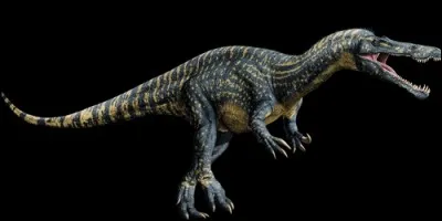 A combien est estimé la taille du suchomimus ?