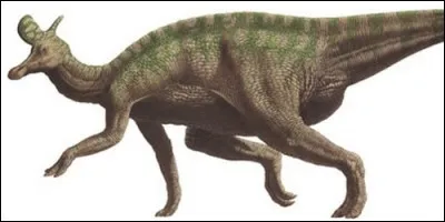 A quelle famille appartenait le lambeosaurus ?