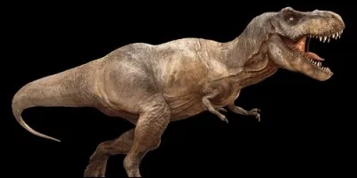En 1997, un crâne fossilisé le plus complet de tyrannosaurus rex a été vendu aux enchères à un musée américain. Lequel est-ce ?