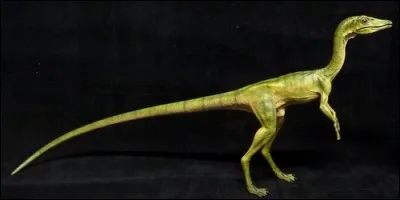 Lequel de ces dinosaures ne mesurait qu'environ un mètre de long ?