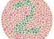 Quiz Que voyez-vous ?