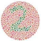 Quiz Enfants