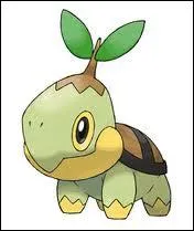 Quel est ce starter Pokmon ?