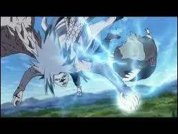 Quel est le vritable vainqueur du combat ?