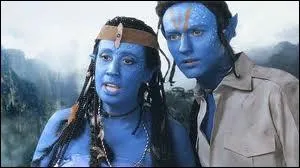 Quel film est parodi par  Le cin du comit  ?