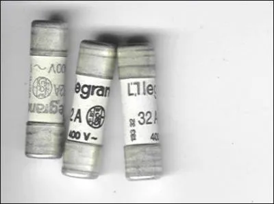 Ce type de fusible est conçu pour protéger...