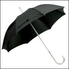  Parapluie  est un mot :