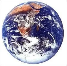  Plante  est un mot :