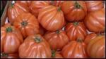 Quel est le pays d'origine de la tomate coeur de boeuf ?