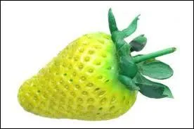 Quelle est la bonne orthographe ?