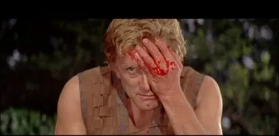 C'est un film 'mdival' o il joue le fils d'un chef viking qui dteste son frre Erik, issu d'une union illgitime et coupable de l'avoir rendu borgne :