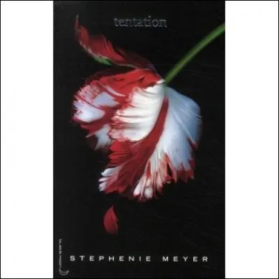 En quelle anne est sorti  Tentation  ?