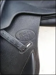 Parmi ces 3 rponses, laquelle comporte une selle qui ... n'existe pas ?