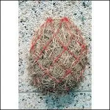 Comment s'appelle cet objet ?