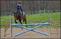 Comment s'appelle cet obstacle ?