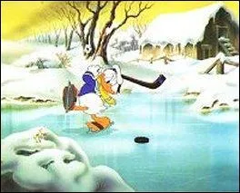 Quel oiseau joue au hockey sur glace !