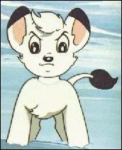 Il s'appelle Kimba et il est blanc !